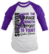 Shirts By Sarah Men's Crohn's Disease Survivor Shirt 3/4 Sleeve Raglan Shirts Purple Ribbon
