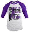 Shirts By Sarah Men's Cancer Survivor Shirt 3/4 Sleeve Raglan Shirts Purple Ribbon