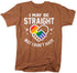 products/straight-but-dont-hate-lgbtq-shirt-auv.jpg