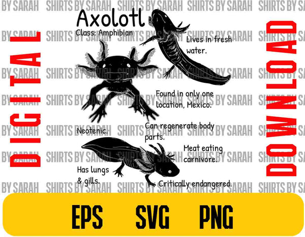 Axolotl Facts SVG Digital Download Catalog Reference Design Clipart Axolotl Art PNG Eps Educational Shirt Design File Sublimation Poster-Shirts By Sarah